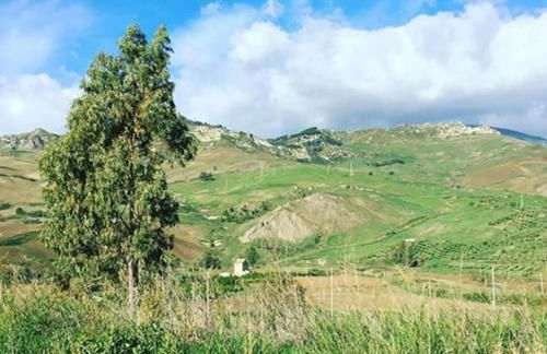 Tenuta Lanza Il Mulino - Foto 37