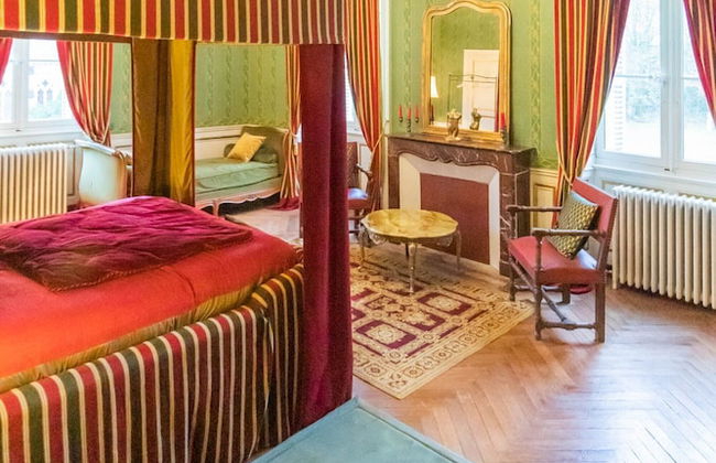 Chateau du Hallay - Foto 18