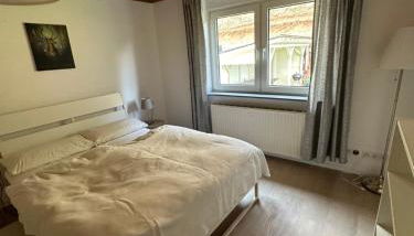 Sternblume Deluxe - Foto 5