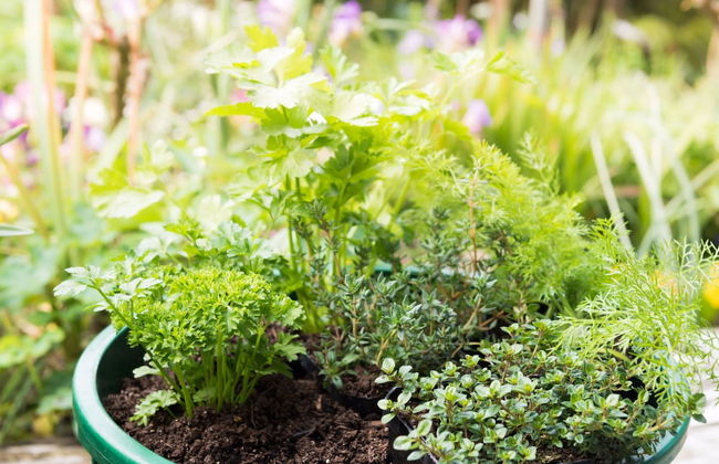 Craicor Accommodation - Foto 37