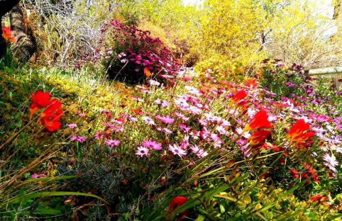 Casa Champasak - Foto 58