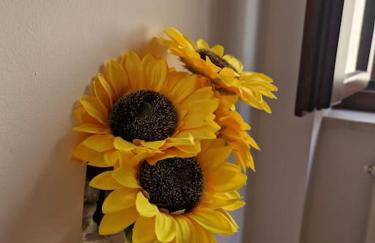 Casa la Matterella - Photo 16