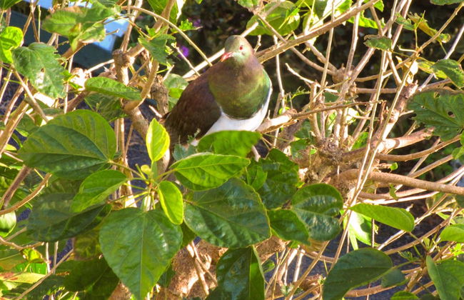 Craicor Accommodation - Foto 43