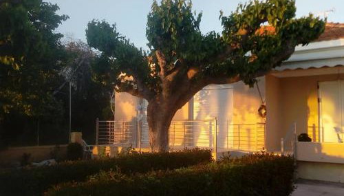 Mamanis Studios - Foto 2