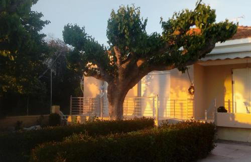 Mamanis Studios - Foto 2