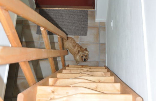 Hjortsby Torp - Country Living & Golf - Foto 30