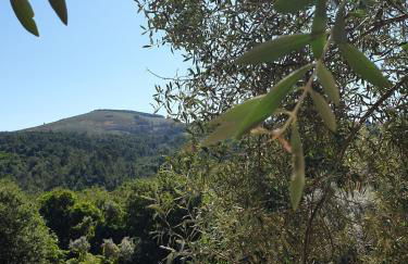 Quinta da Vinha Velha - Foto 47