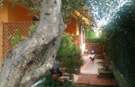 nido di dafne - Foto 35