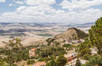 Miramonte Holiday - Photo 30