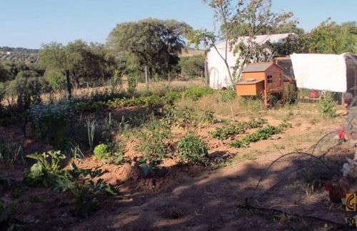 Gosto do Campo - Foto 11