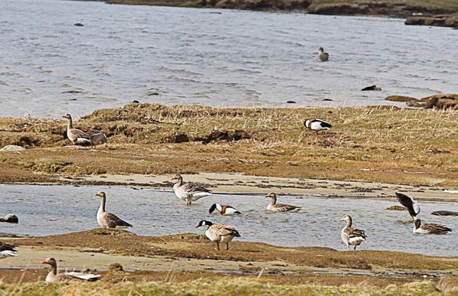 5 Person Holiday Home in Varekil - Foto 8