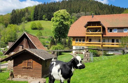 Hoferpeterhof - Foto 8