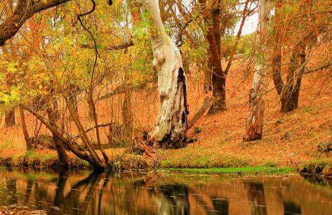 Ferienwohnung Hankel - Foto 18