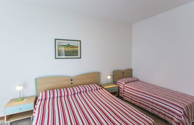 Calycanthus - Foto 10