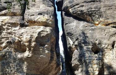 Auf-der-Muehlwiese - Foto 48