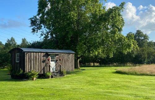 Mountbatten Shepherds hut & Buckhurst Shepherds hut - Foto 29