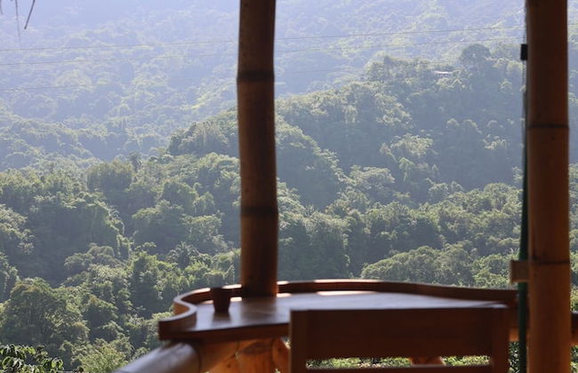 Sol de minca - Photo 25