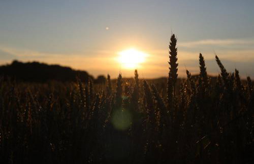 Drzewiecka Chata - Foto 33