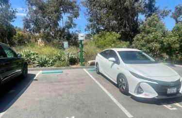 SummerLillie #1 - Foto 10