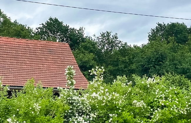 2 bedroom House in Lwówek Śląski with garden and terrace - Photo 45