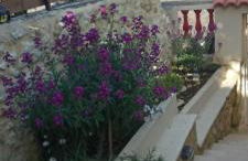 Kalomiris Thea Suite - Photo 19