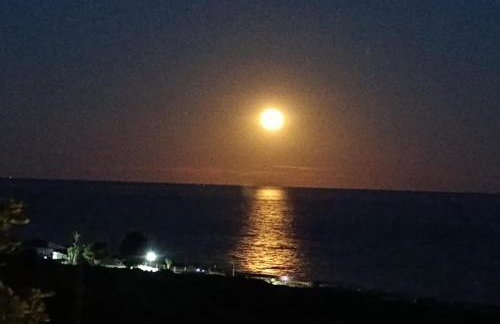 El Jazmín Playa - Foto 9