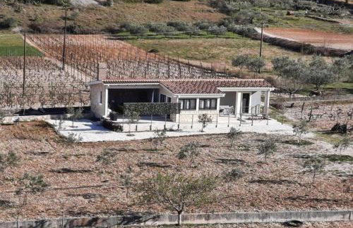 House Toni - Photo 20