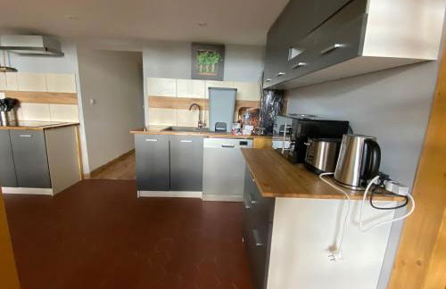 appartement 8 couchages au lioran rando vtt ski - Foto 6