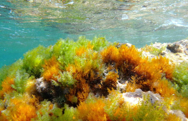 Passeio de barco pelo Cabo San Antonio - Foto 2