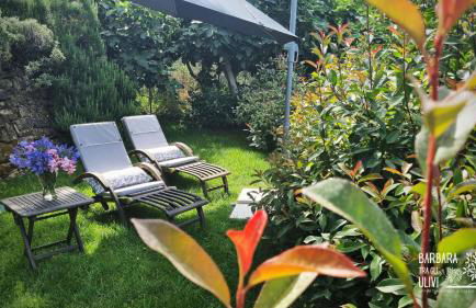 Barbara tra gli Ulivi - Foto 47