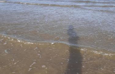 Apartamento aconchegante 2 quartos com suíte na praia de Guaibim - Foto 66