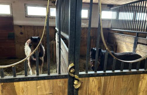 Koperkowe Rancho Beskid Wyspowy Domek Małopolskie KAMIONNA - Foto 17