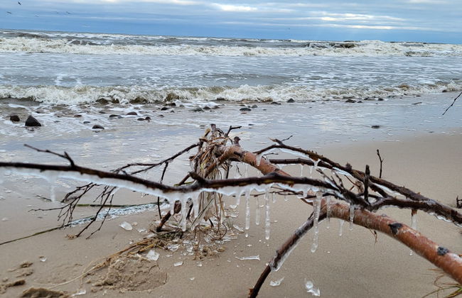 2 bedroom House in Smołdzino with garden and terrace - Foto 42