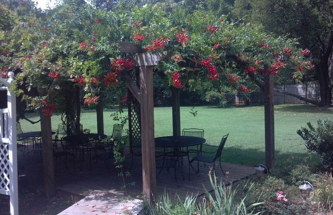 7 Bedroom Manor near Appomattox & Lynchburg - Photo 18