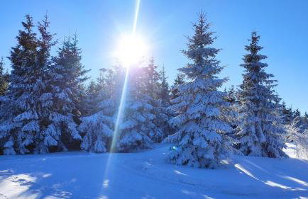 Domek Gloria nad Jeziorem Żywieckim - Foto 38