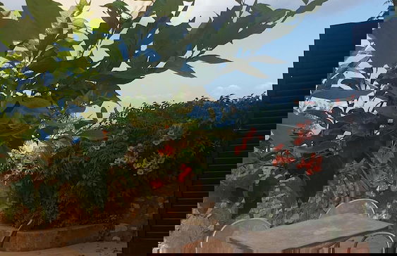 Residence L'Incanto Sorrento - Foto 56