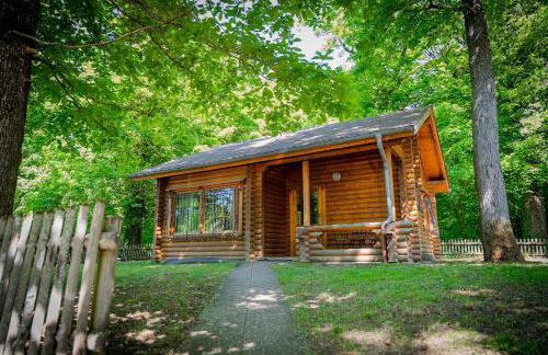 Les chalets du centre - Foto 1