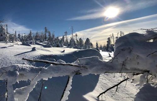 Ferienwohnung Theresa - Photo 22