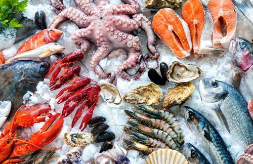 Casa Esmeralda - holiday apartment Costa Blanca - Photo 64