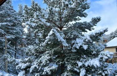 Aux trois marmottes - Chalet au pied des pistes - Foto 17