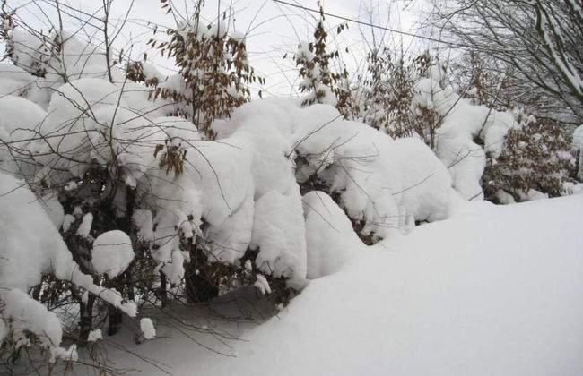 Wohnung mit Balkon und Toller Aussicht - Foto 33