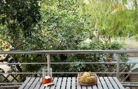 Tashó Simply Living - Foto 5