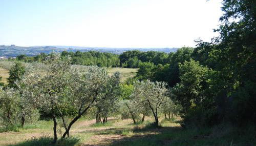 Francesca Apartment - Foto 5