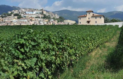 Cincinnato Wine Resort - Foto 45