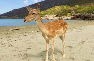 Homeliday RELAX - Foto 54