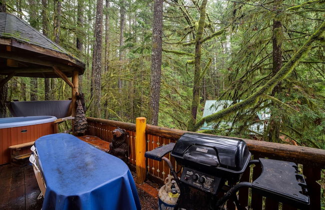 25SL - Hot Tub - BBQ - Pets Ok - WiFi - Sleeps 6 - Foto 36