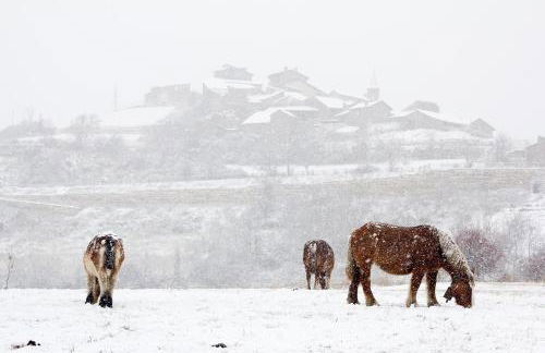 Casa Rural Baró - Foto 19