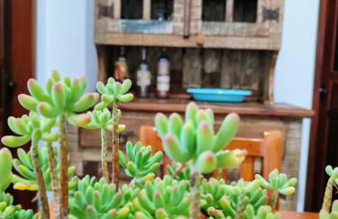 Casa de Temporada Xisto - Foto 43