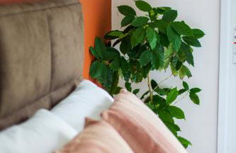 Casa Mata Atlântica Paraty - Foto 26