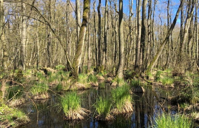 Baltic Sea Dromelhus - Foto 17